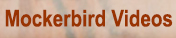 Harlan R. Sandidge:  Mockerbird Videos
